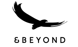 beyond.jpg.pagespeed.ce.QBoIrJlmIn